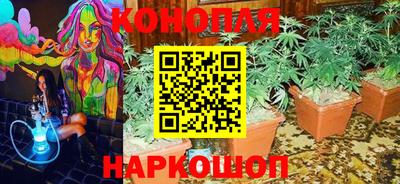 крисы Бугуруслан