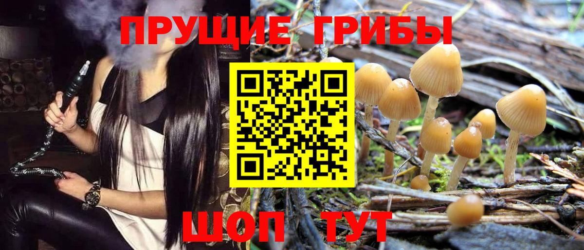 Псилоцибиновые грибы Magic Shrooms Лангепас