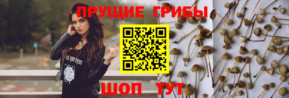 Лангепас  Псилоцибиновые грибы Psilocybe  Вход с VPN 